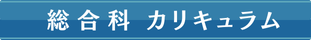 総合科カリキュラム